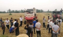 蒙城县新闻爆料,聚焦民生热点，揭示社会现象